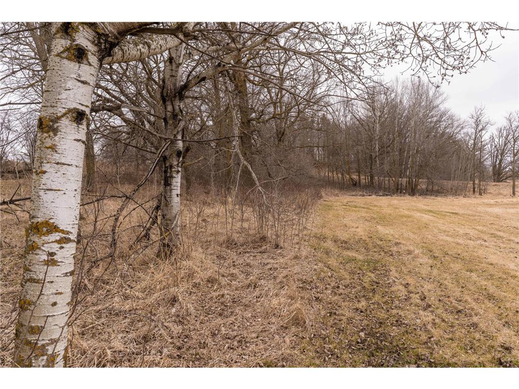 23667 380th Street Maplewood Twp MN 56572 7068806 image75