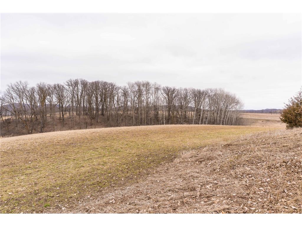 23667 380th Street Maplewood Twp MN 56572 7068806 image76