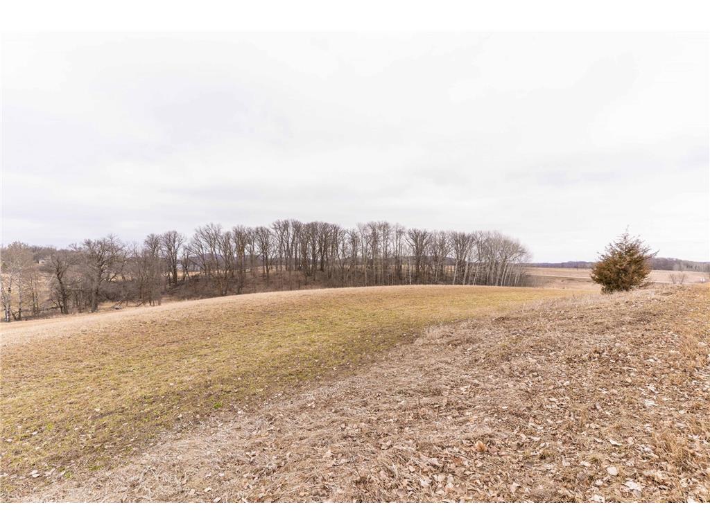 23667 380th Street Maplewood Twp MN 56572 7068806 image77