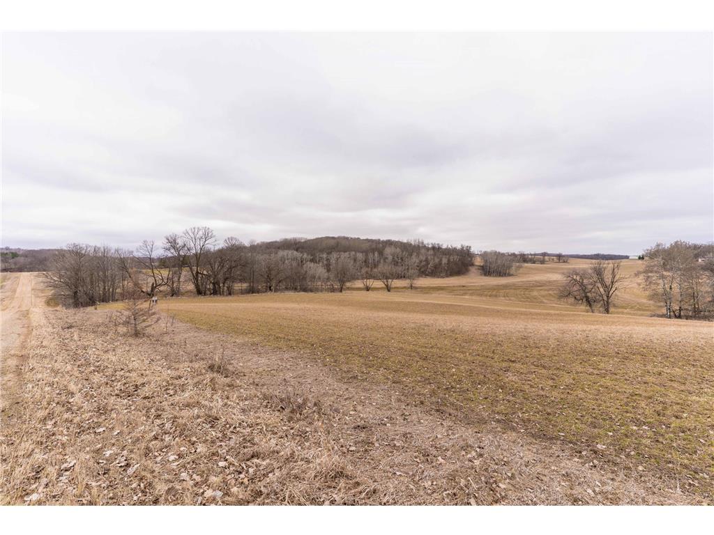 23667 380th Street Maplewood Twp MN 56572 7068806 image78