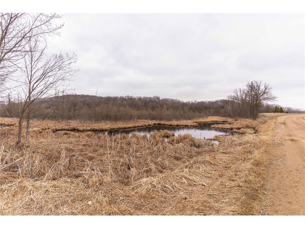 23667 380th Street Maplewood Twp MN 56572 7068806 image83