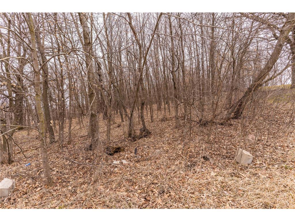 23667 380th Street Maplewood Twp MN 56572 7068806 image85