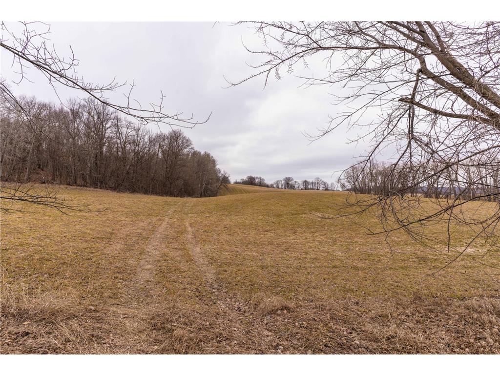 23667 380th Street Maplewood Twp MN 56572 7068806 image87