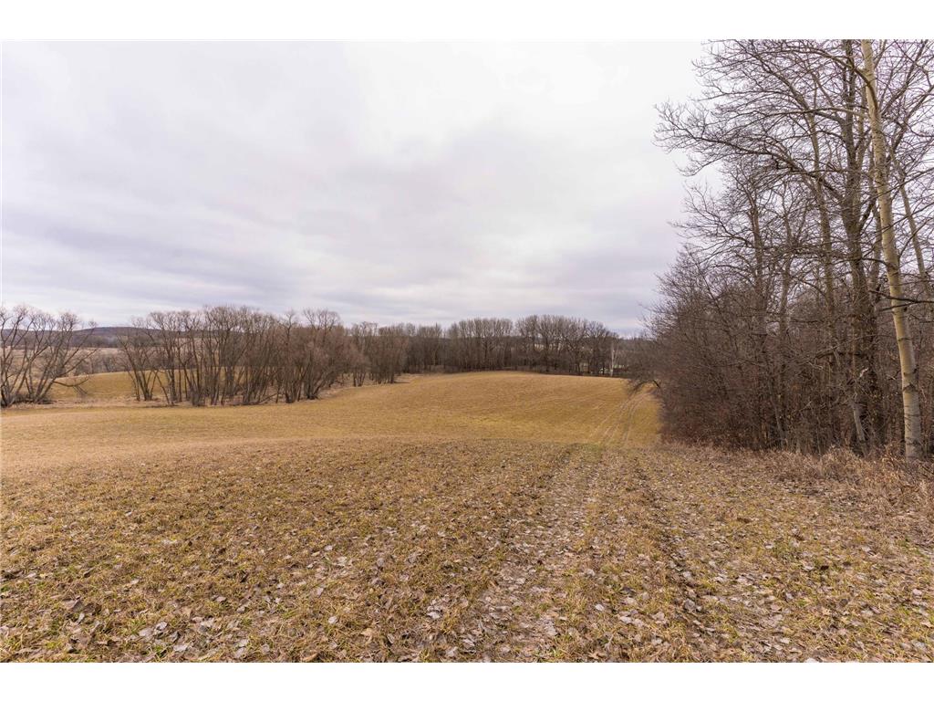23667 380th Street Maplewood Twp MN 56572 7068806 image91