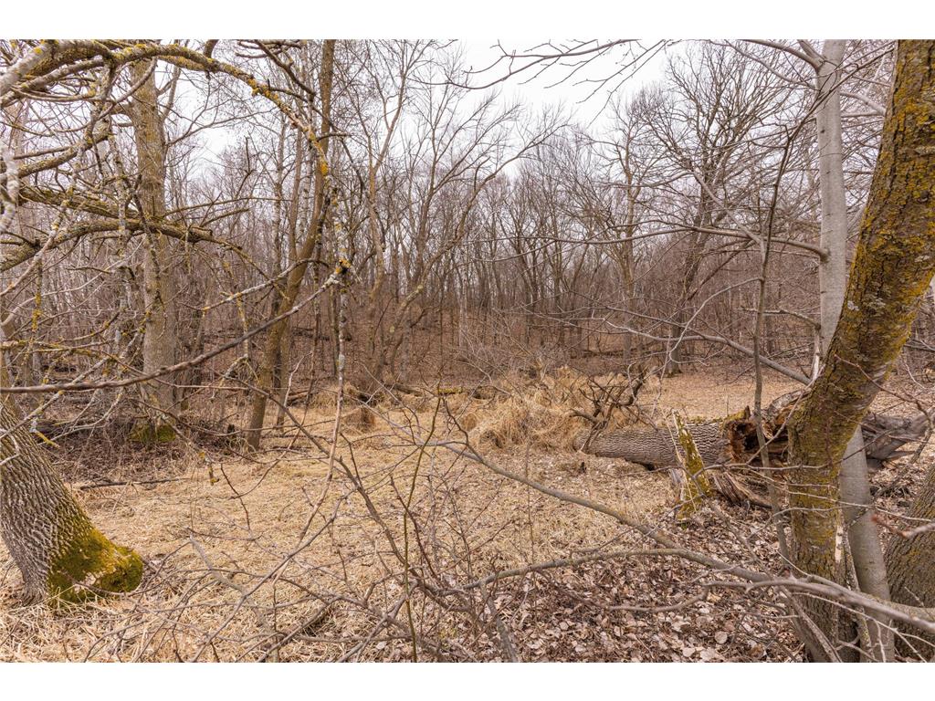 23667 380th Street Maplewood Twp MN 56572 7068806 image92