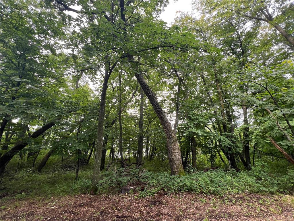 23676 Veitenheimer Road Dalton MN 56324 - North Ten Mile 7104615 image25