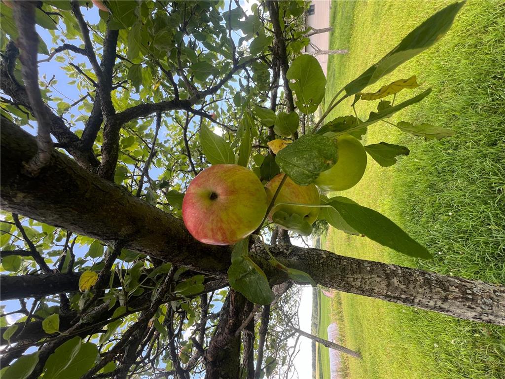 23685 County Road H Dewey Twp WI 54871 6622616 image15