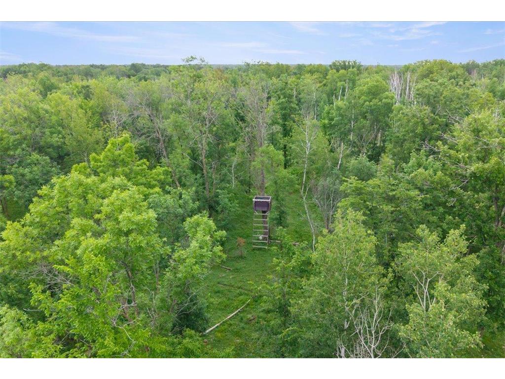 23699 295th Avenue Pierz MN 56364 7107400 image31
