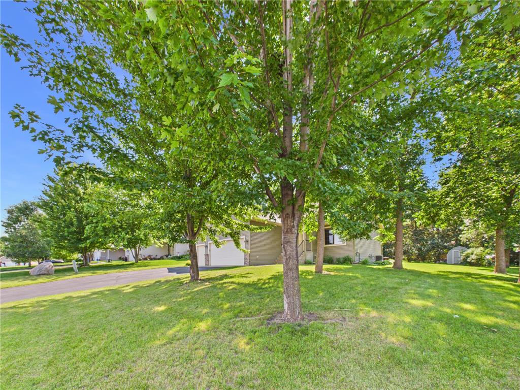 237 17th Avenue SE Saint Joseph MN 56374 7101564 image38