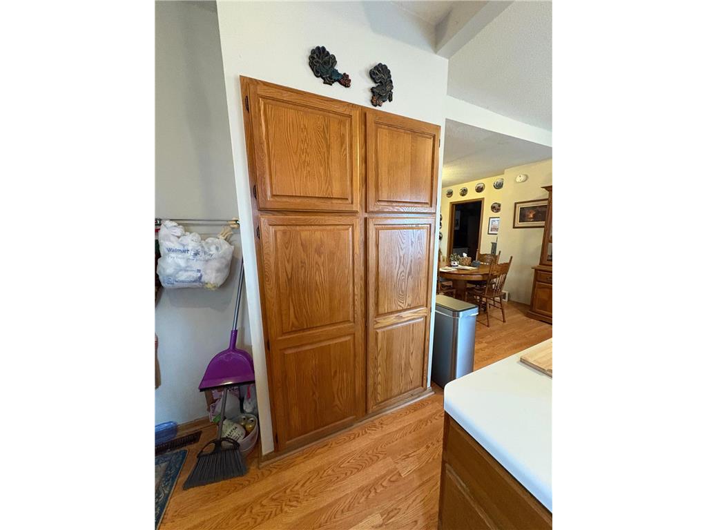 237 S Paul Street Appleton MN 56208 7047806 image16