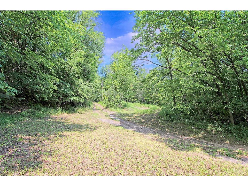 2371 Jansen Ave SE Rockford MN 55313 - South Fork Crow River 6397288 image1