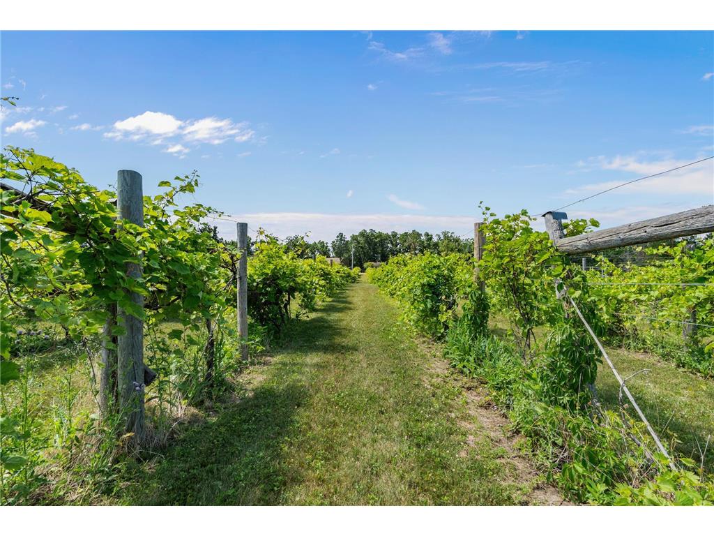 23730 Oak Lake Trail Knute Twp MN 56535 - Oak 6762782 image65