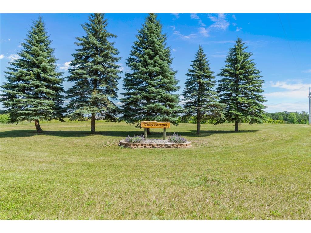 23730 Oak Lake Trail Knute Twp MN 56535 - Oak 6762782 image82