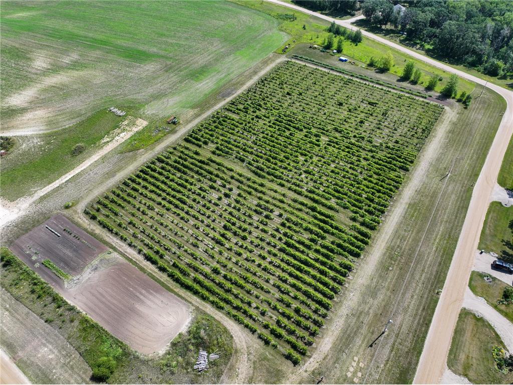 23730 Oak Lake Trail Knute Twp MN 56535 - Oak 6762782 image98