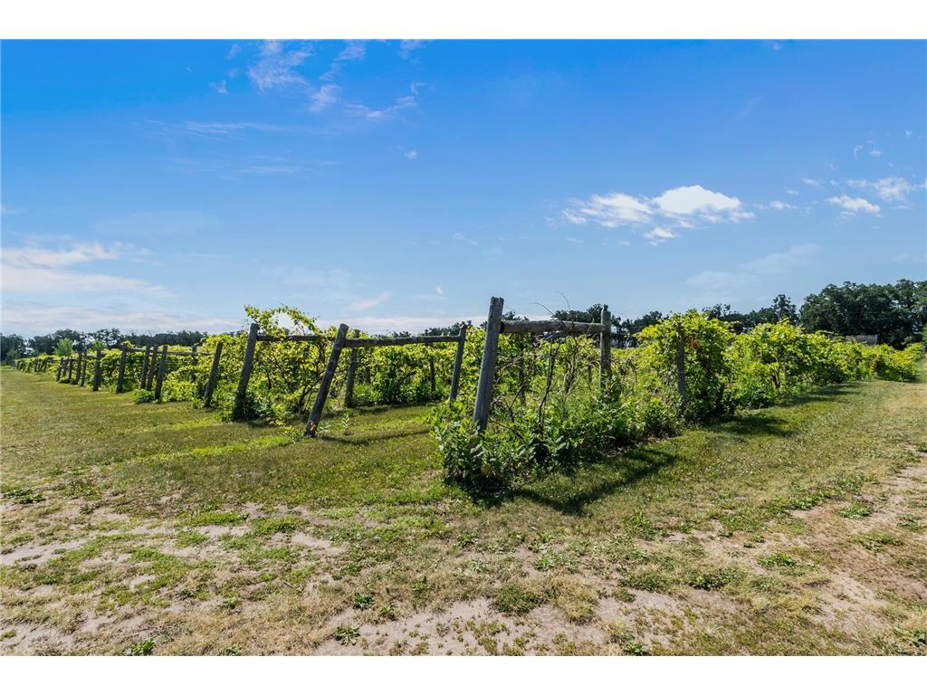 23730 Oak Lake Trail SE Knute Twp MN 56535 - Oak 6753402 image64