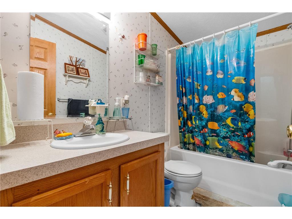 23730 Skunk Lake Road Sandstone Twp MN 55072 7103497 image14