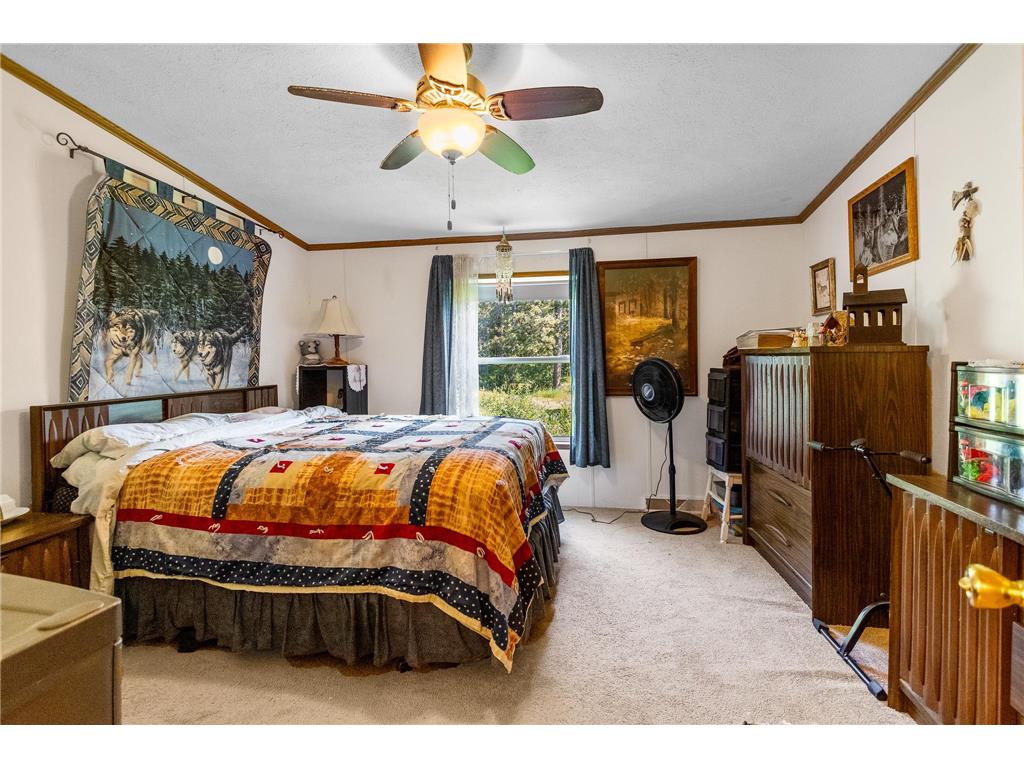 23730 Skunk Lake Road Sandstone Twp MN 55072 7103497 image16