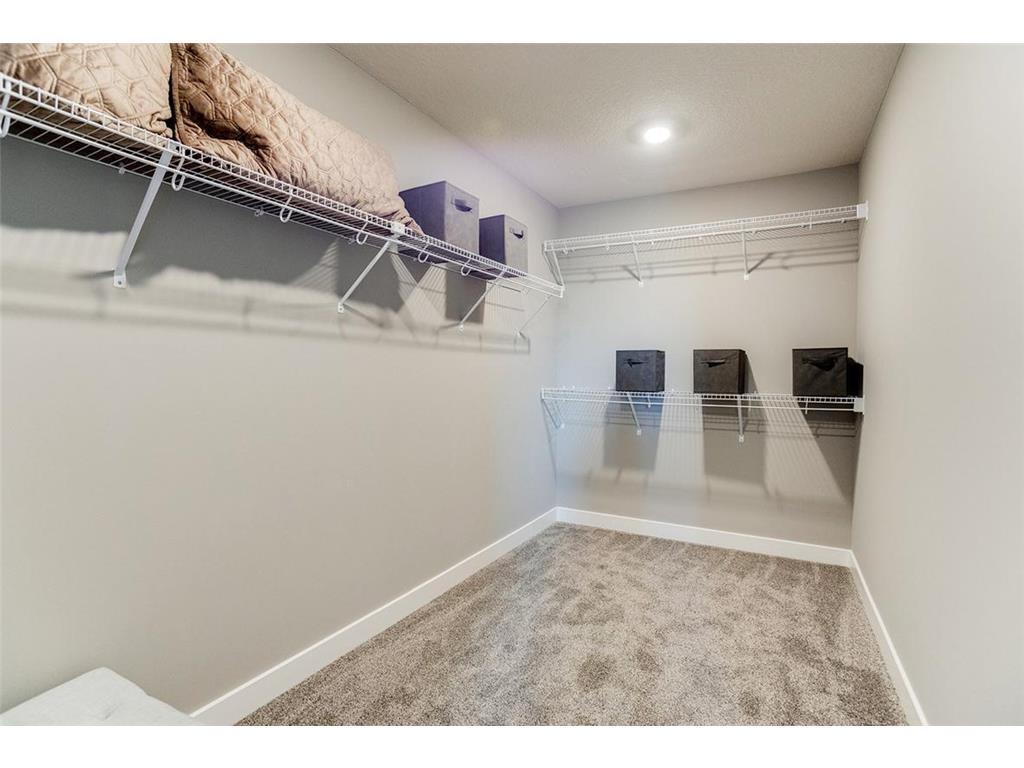 23749 Ashbury Drive Rogers MN 55374 6809941 image14