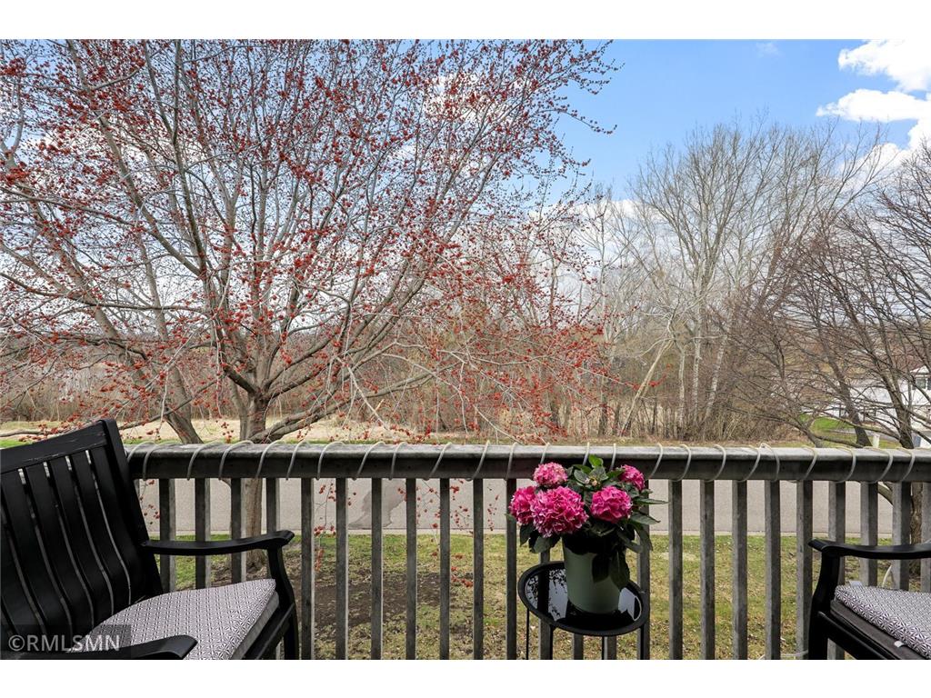 2377 Grenadier Avenue N Oakdale MN 55128 7054582 image19