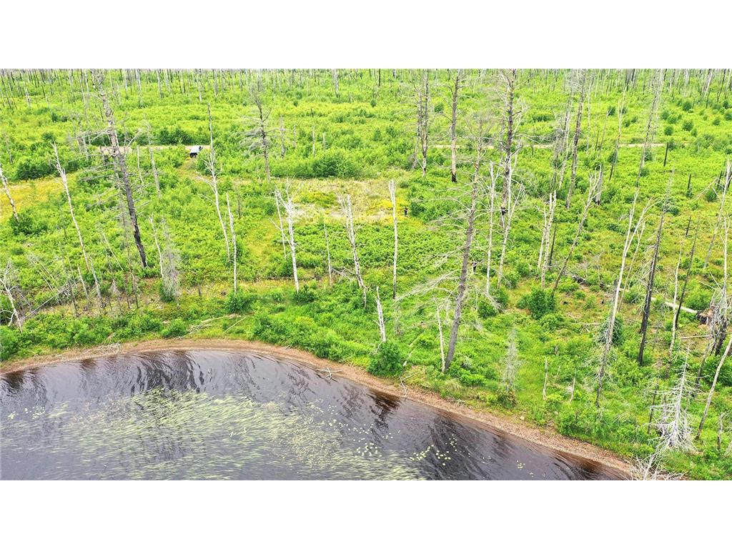2377 N Mcdougal Lane Stony River Twp MN 55607 - North McDougal 7111366 image1