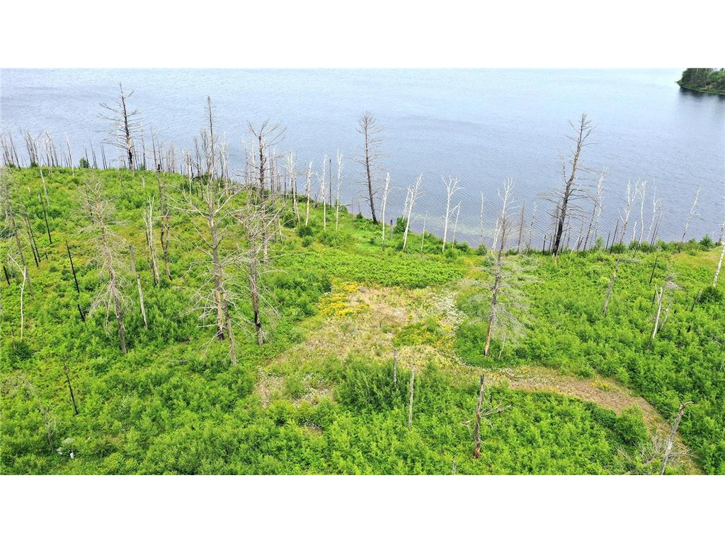 2377 N Mcdougal Lane Stony River Twp MN 55607 - North McDougal 7111366 image3