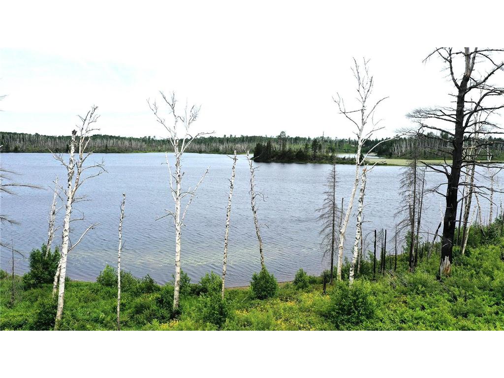 2377 N Mcdougal Lane Stony River Twp MN 55607 - North McDougal 7111366 image4