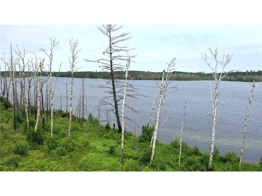 2377 N Mcdougal Lane Stony River Twp MN 55607 - North McDougal 7111366 image5