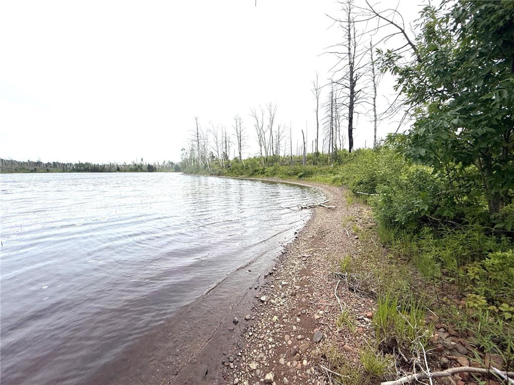 2377 N Mcdougal Lane Stony River Twp MN 55607 - North McDougal 7111366 image6