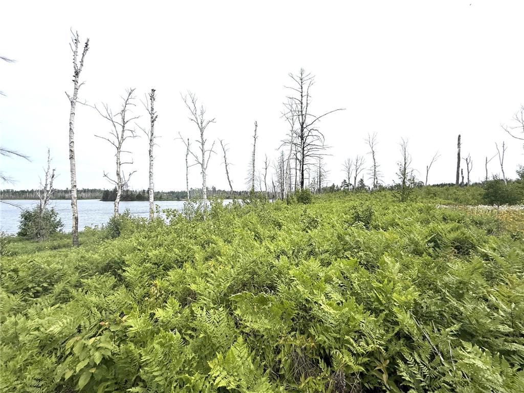 2377 N Mcdougal Lane Stony River Twp MN 55607 - North McDougal 7111366 image7