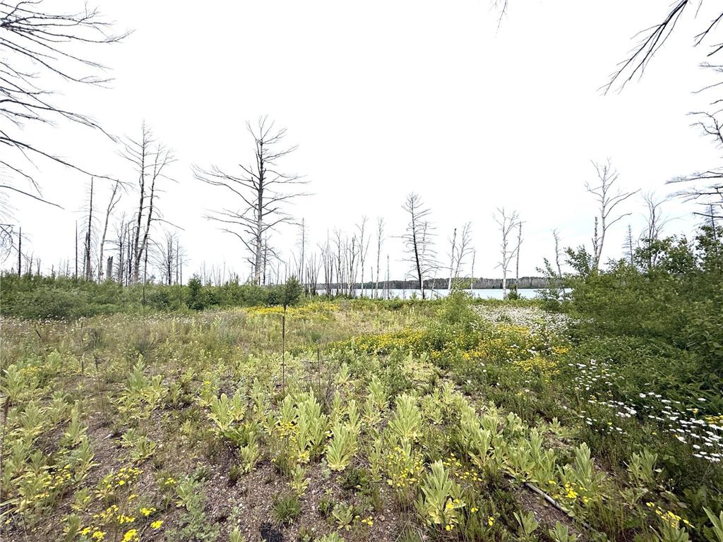 2377 N Mcdougal Lane Stony River Twp MN 55607 - North McDougal 7111366 image8