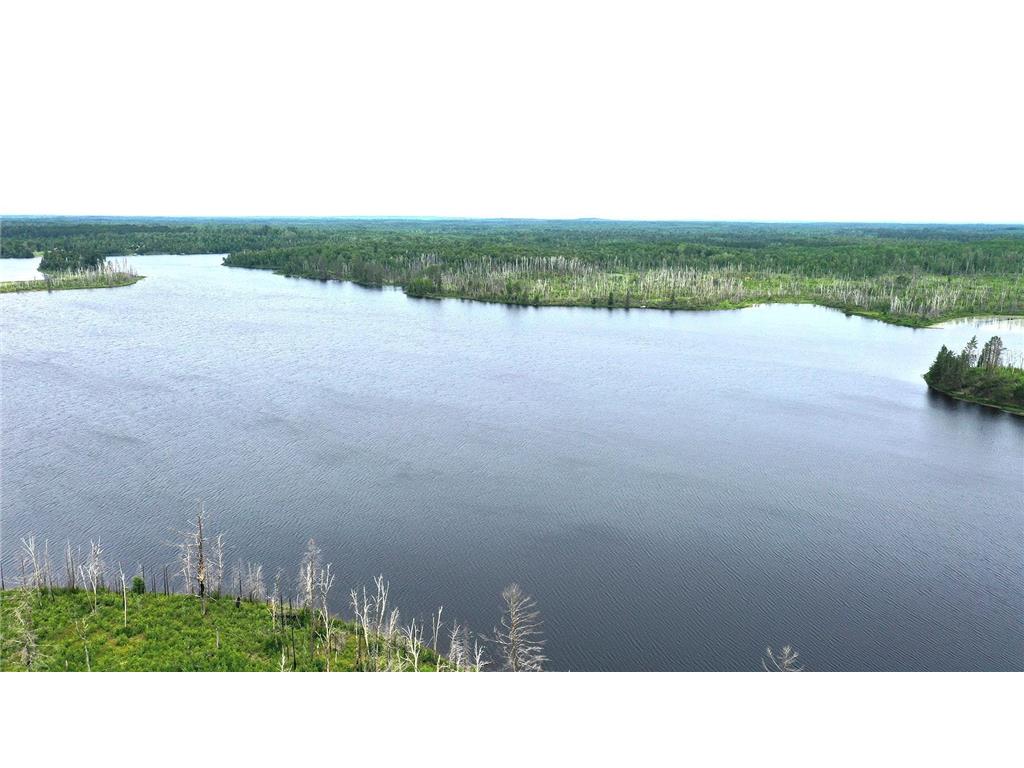 2377 N Mcdougal Lane Stony River Twp MN 55607 - North McDougal 7111366 image9