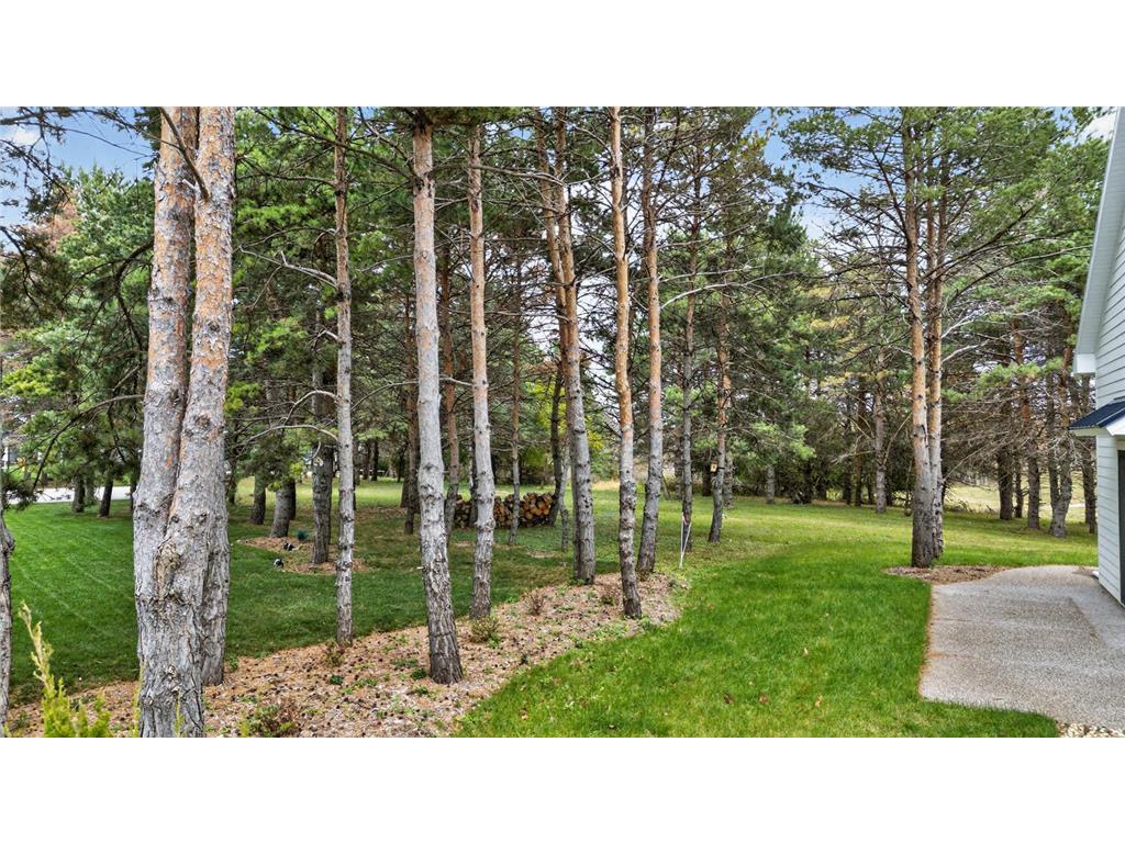 2377 Ponderosa Place SW Rochester MN 55902 6810985 image64