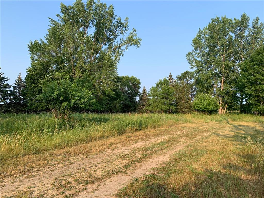 23779 555 Avenue Austin MN 55912 6399897 image1