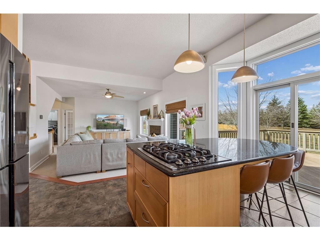 2378 Manuela Drive Chaska MN 55318 7049038 image14