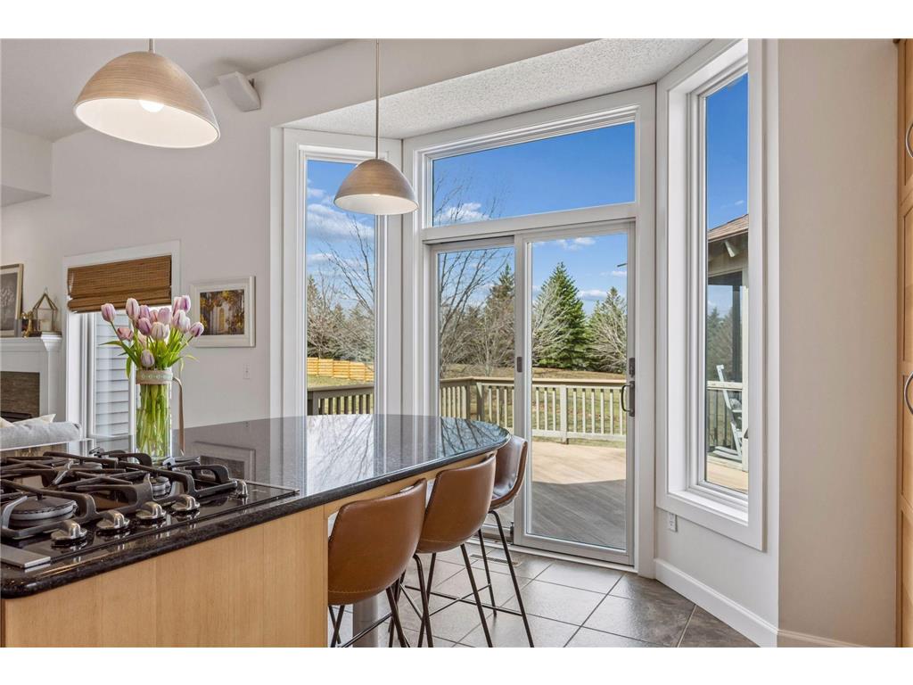 2378 Manuela Drive Chaska MN 55318 7049038 image15