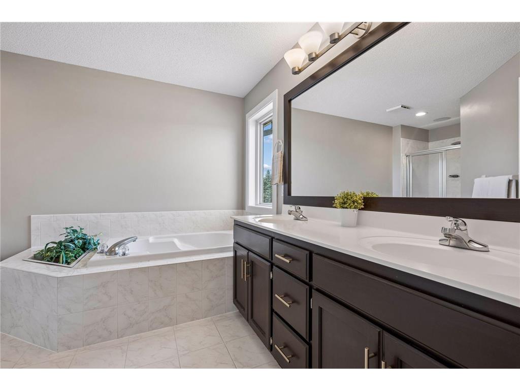 2378 Manuela Drive Chaska MN 55318 7049038 image29