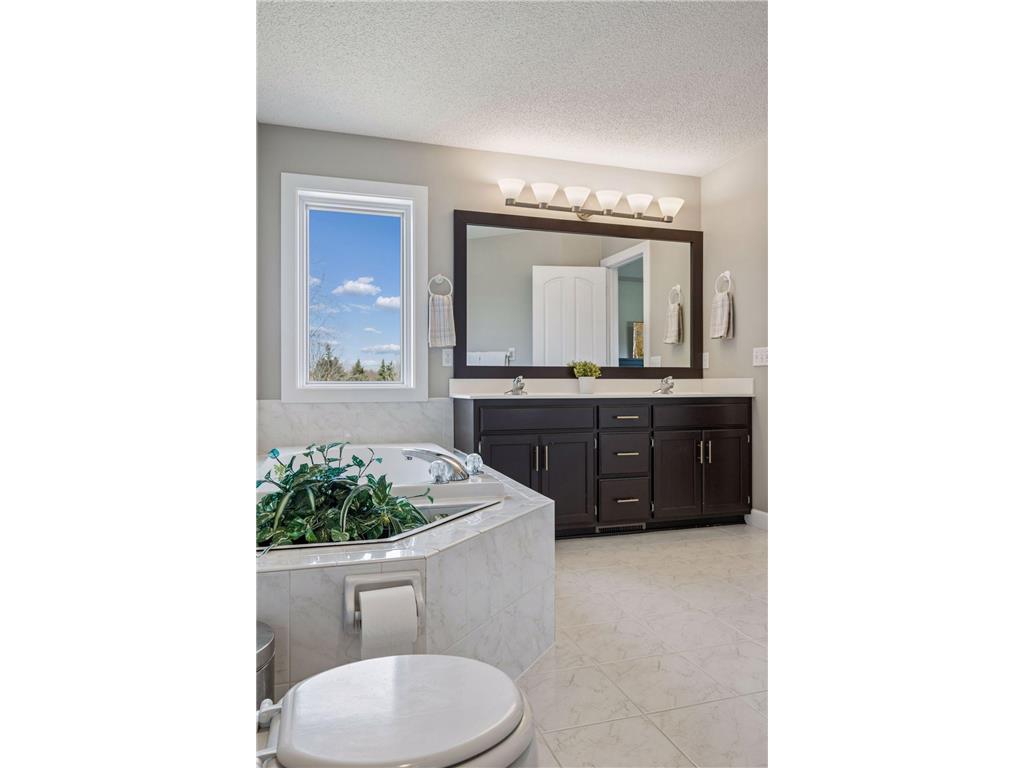 2378 Manuela Drive Chaska MN 55318 7049038 image30