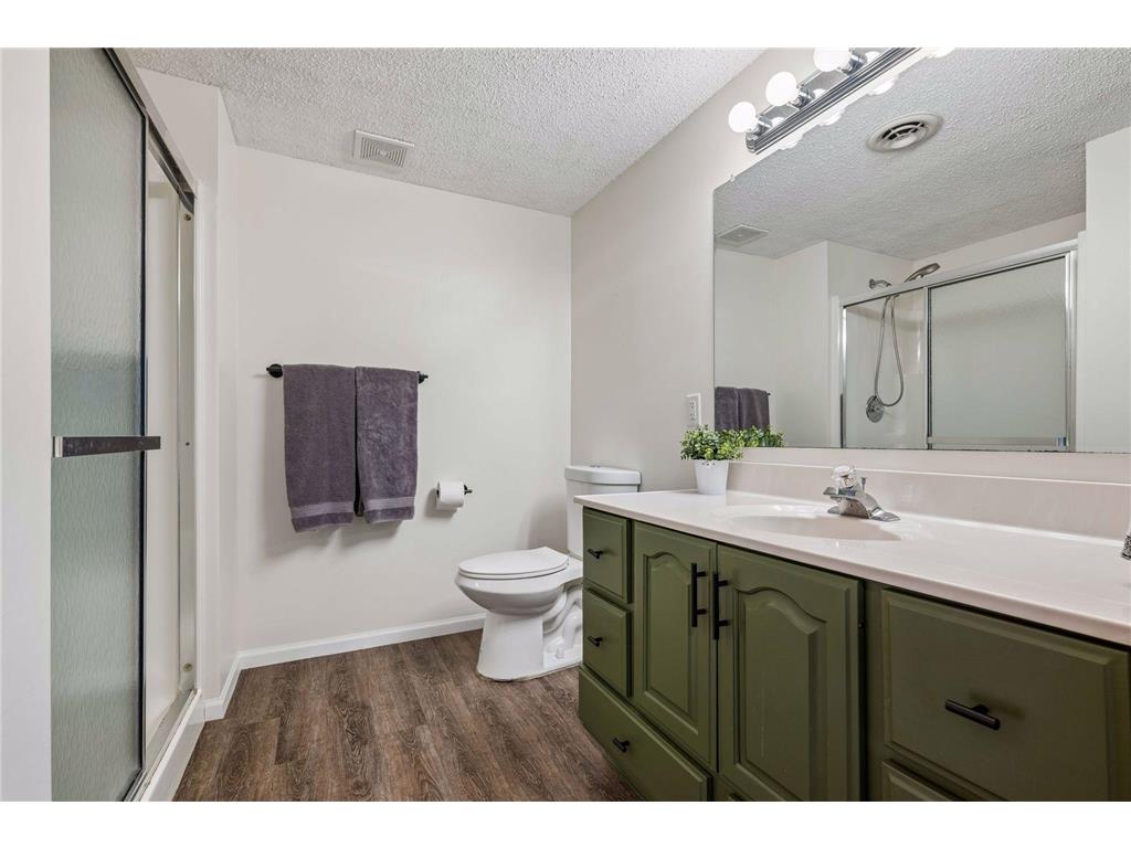 2378 Manuela Drive Chaska MN 55318 7049038 image48