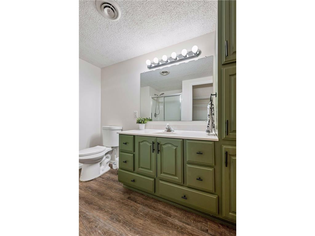 2378 Manuela Drive Chaska MN 55318 7049038 image50