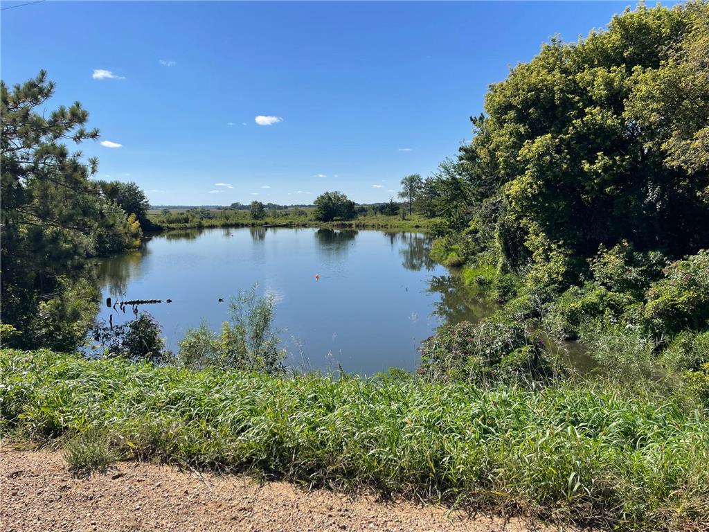 23789 490th Avenue Germantown Twp MN 56083 7072558 image19