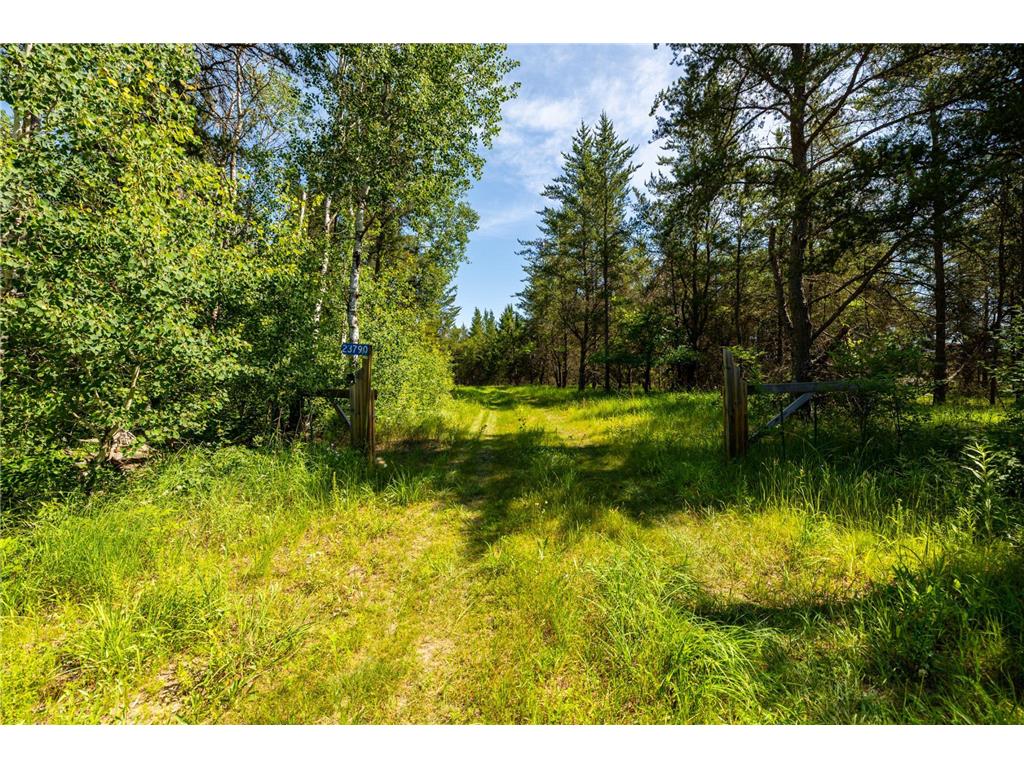 23790 360th Street Huntersville Twp MN 56464 6650224 image1