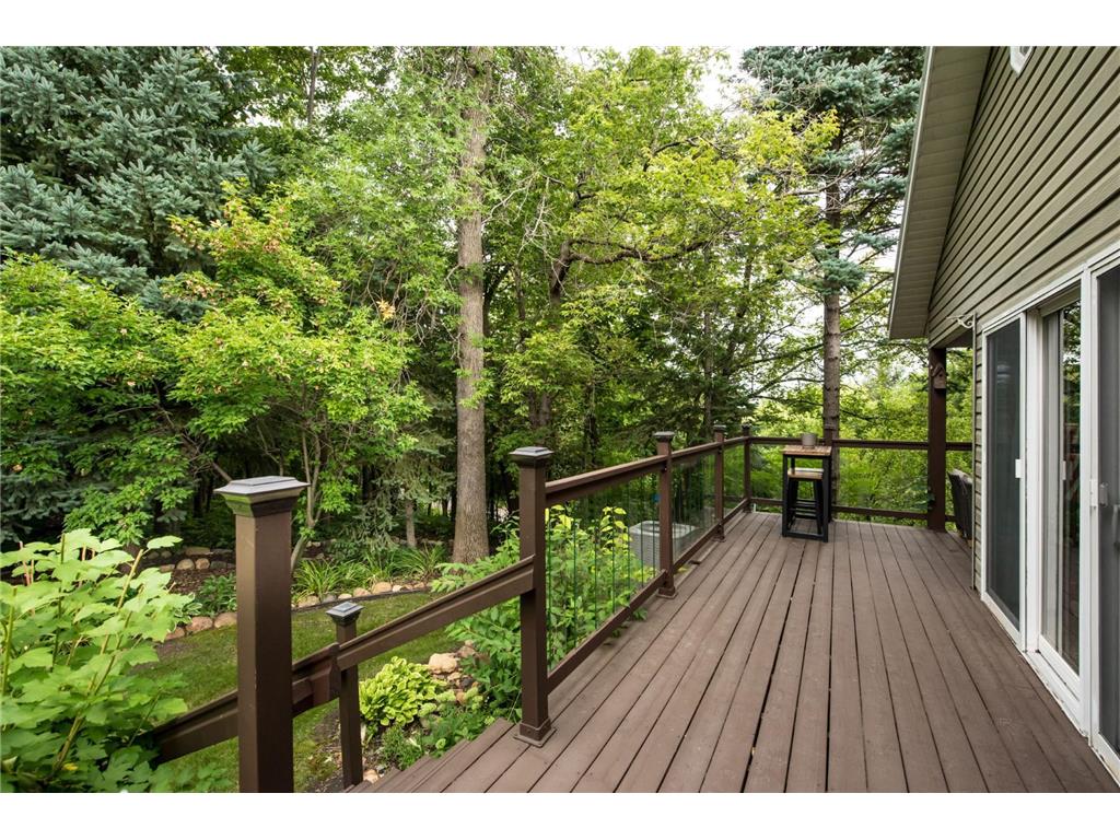 238 Basswood Trail Glenwood Twp MN 56334 - Minnewaska 6774062 image56