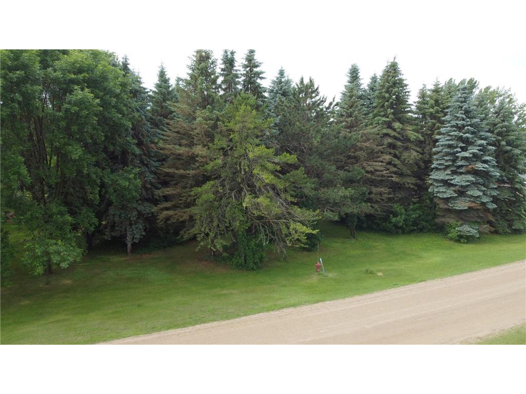 238 Park Circle Ottertail MN 56571 6746744 image3