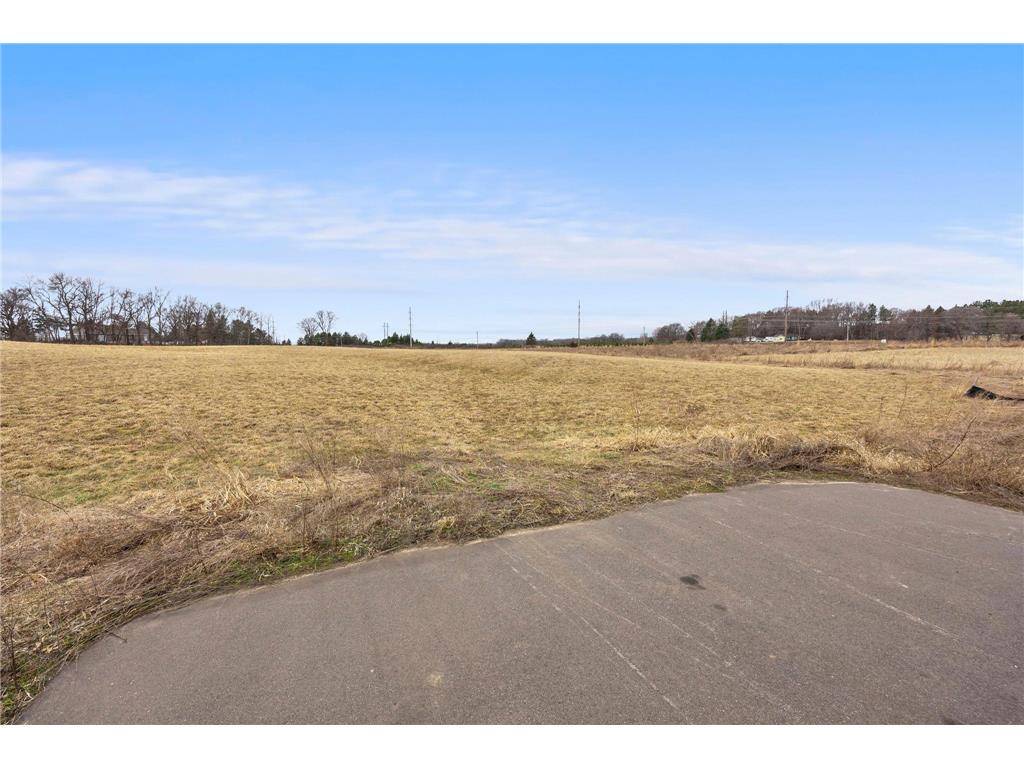 23804 Hall Drive New Market Twp MN 55044 7037836 image6