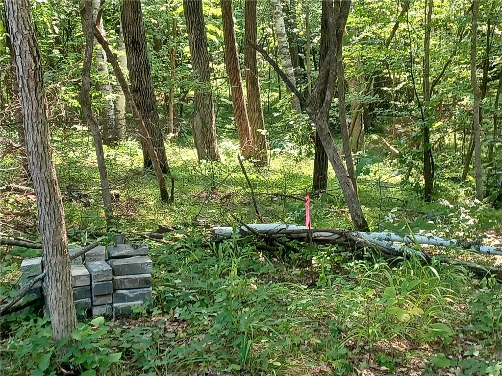 23847 Arcade Loop Crow Wing Lake Twp MN 56464 - Crow Wing River 7021715 image10