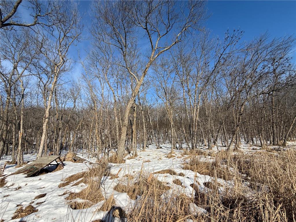 23847 Arcade Loop Crow Wing Lake Twp MN 56464 - Crow Wing River 7021715 image36
