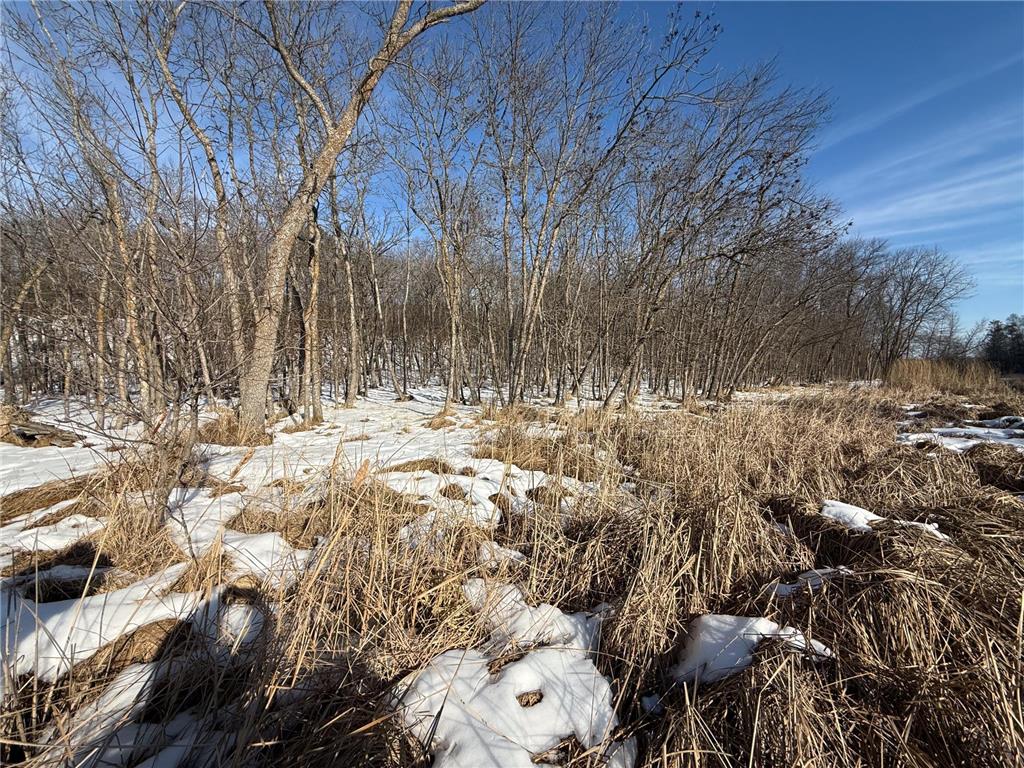 23847 Arcade Loop Crow Wing Lake Twp MN 56464 - Crow Wing River 7021715 image37