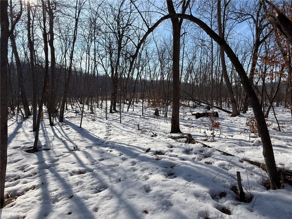 23847 Arcade Loop Crow Wing Lake Twp MN 56464 - Crow Wing River 7021715 image38