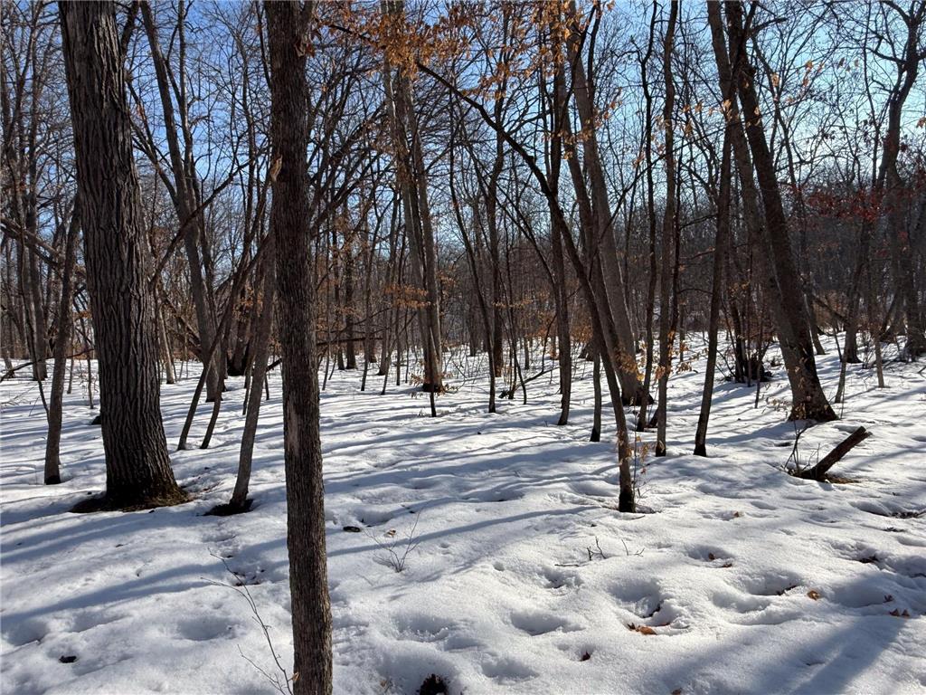 23847 Arcade Loop Crow Wing Lake Twp MN 56464 - Crow Wing River 7021715 image39