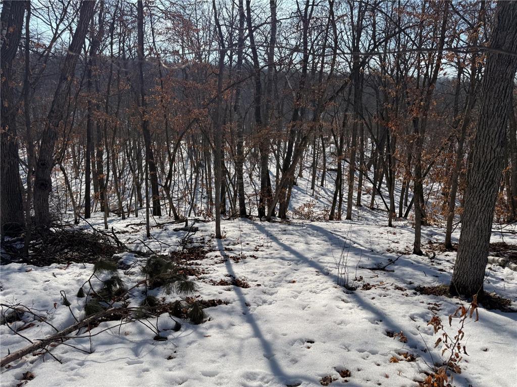 23847 Arcade Loop Crow Wing Lake Twp MN 56464 - Crow Wing River 7021715 image42